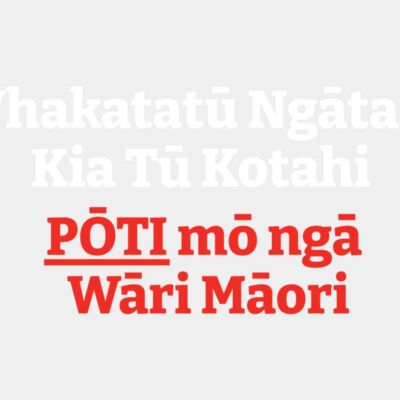 Māori Wards Thumbnail